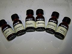 POT-POURRI-BURNER-15-ML-INSANA-FRAGRANT-OIL-ANGEL-NEW